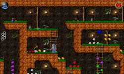 Храбрые гномы. Назад за сокровищами!