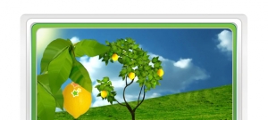 Играю с мамой. Фрукты