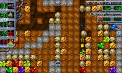 Золотой крот